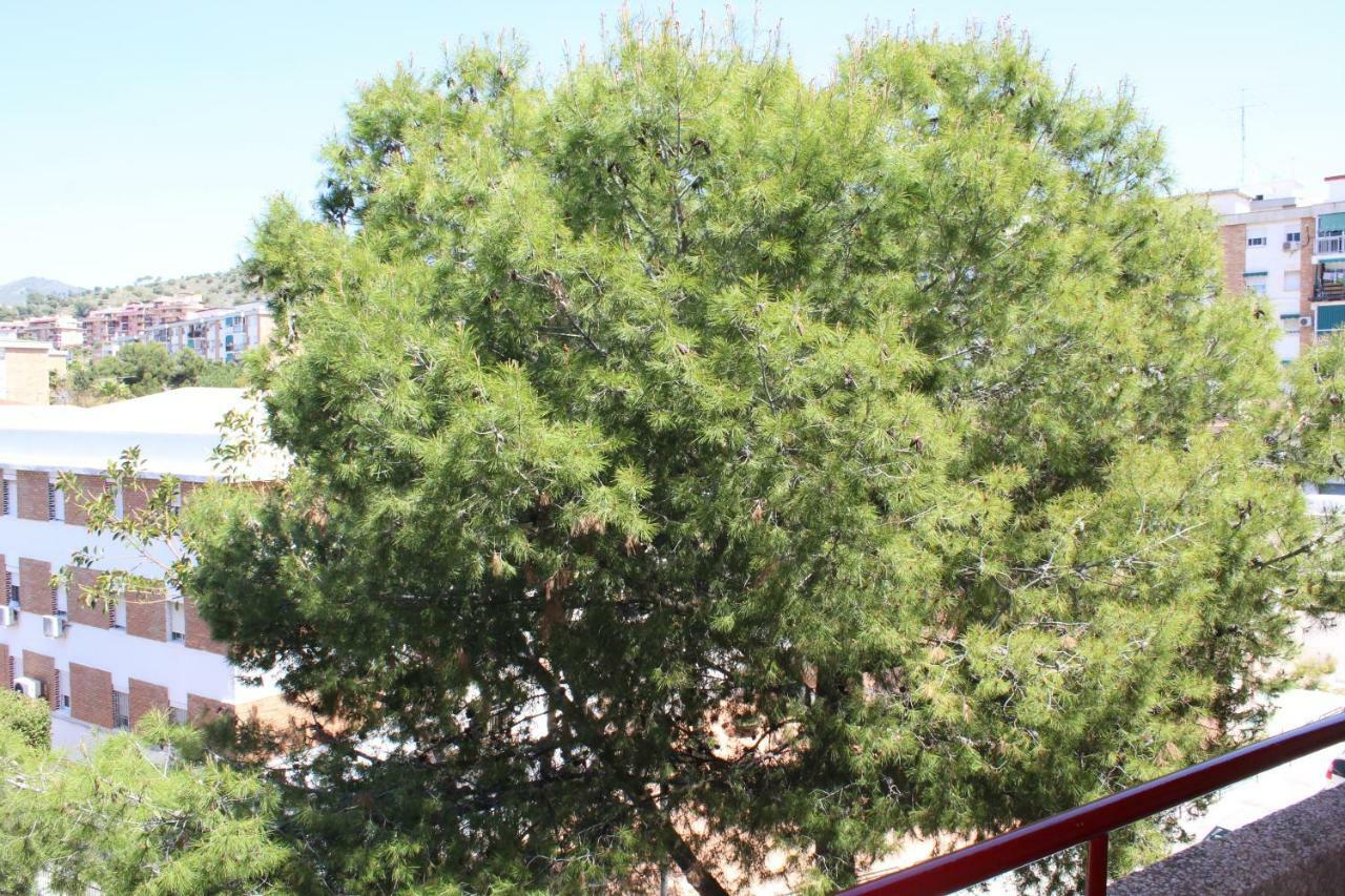 מאלגה Apartamento Con Parking Gratuito מראה חיצוני תמונה
